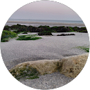 Miha Božič profile picture