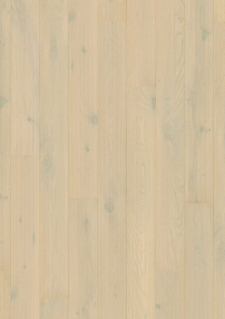 Parket | Wintry forest oak extra matt