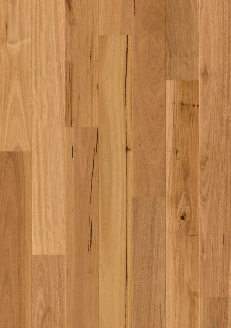 Parket | Blackbutt 1 strip matt Parket | Blackbutt 1 strip matt