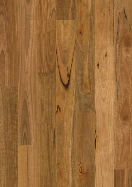 Parket | Spotted gum 1 strip matt