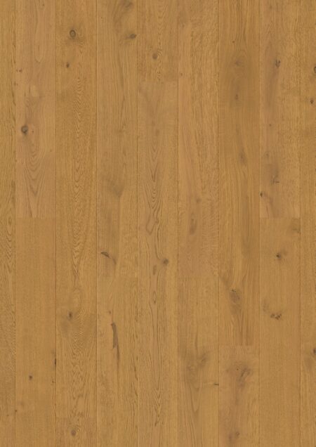 Parket | Dark chestnut oak extra matt