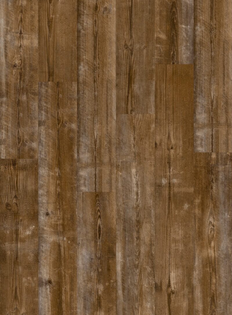 Vinil | Sundown pine