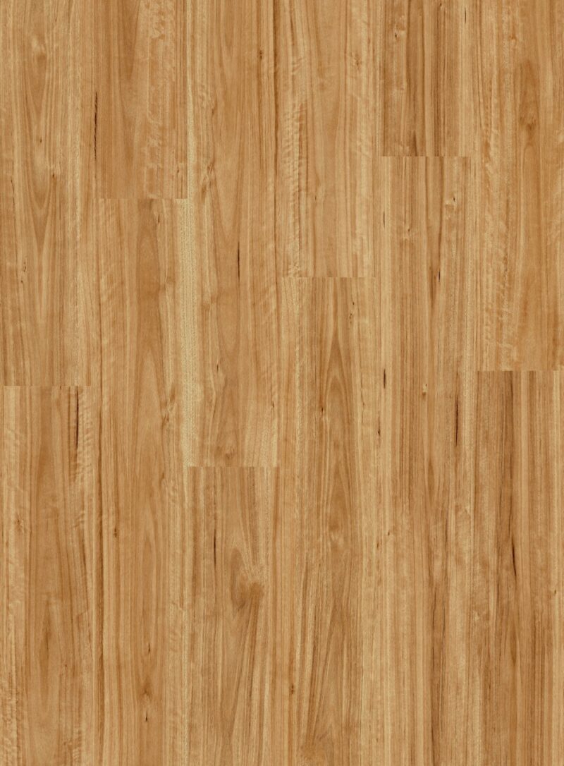 Vinil | Urban black butt