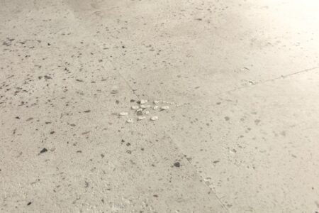 Vinil | Oyster concrete