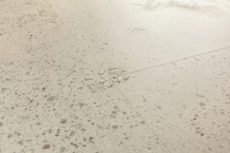 Vinil | Oyster concrete