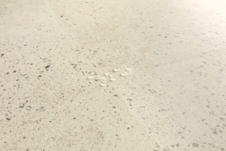 Vinil | Pebble concrete