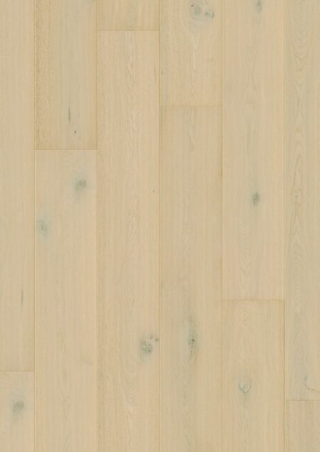 Parket | Wintry forest oak extra matt