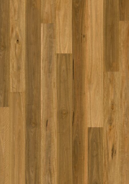 Parket | Spotted gum 1 strip