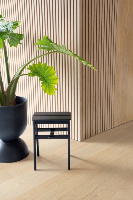 Parket | Creamy white oak extra matt