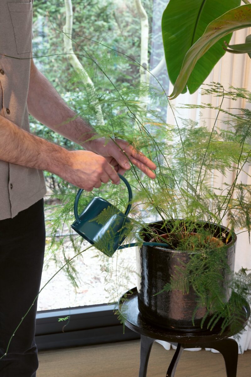 Parket | Brown vintage oak extra matt Parket | Brown vintage oak extra matt