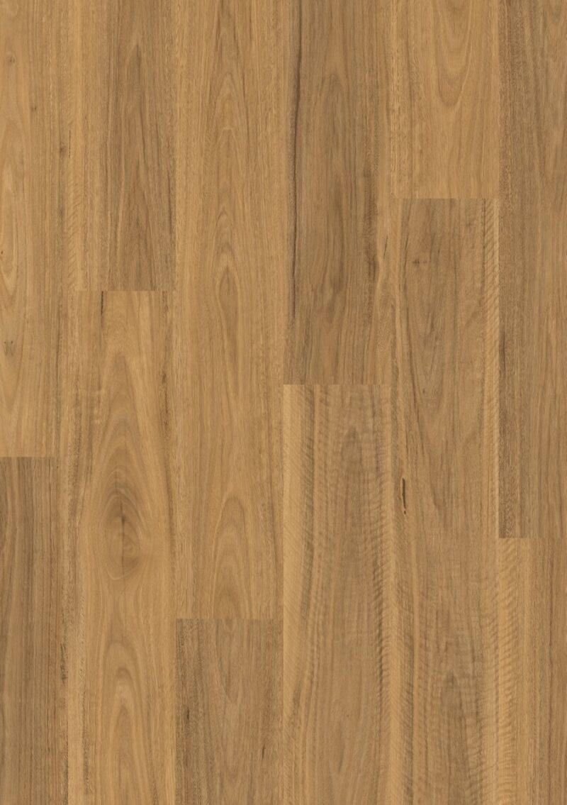 Laminat | Classic Spotted Gum Light Laminat | Classic Spotted Gum Light