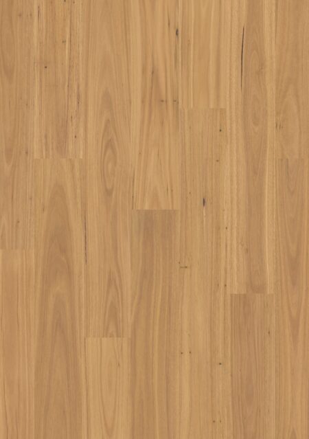 Laminat | Pure blackbutt