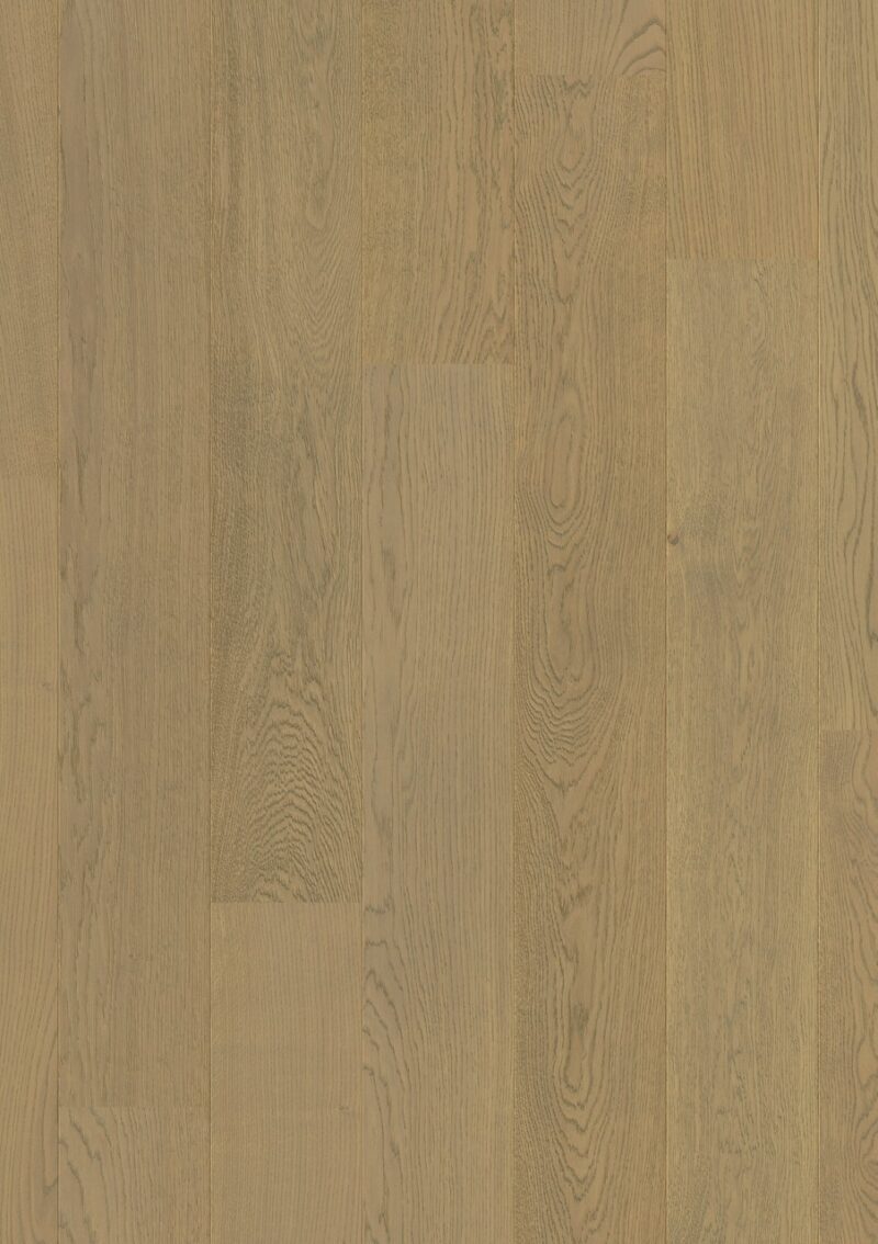 Parket | Fossil oak extra matt