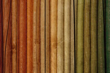 Parket | More wood species on request