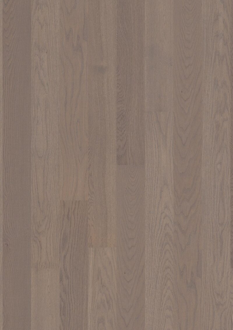 Parket | Oak Arizona Concerto Parket | Oak Arizona Concerto