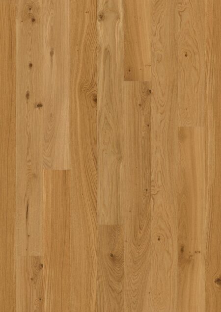 Parket | Oak Transparent Animoso Parket | Oak Transparent Animoso