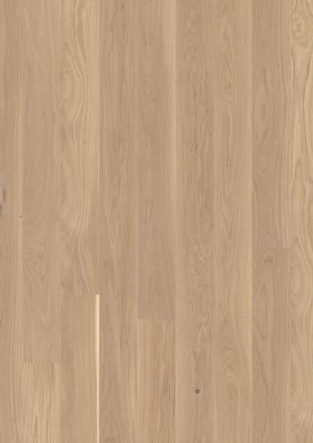 Parket | Oak White Andante