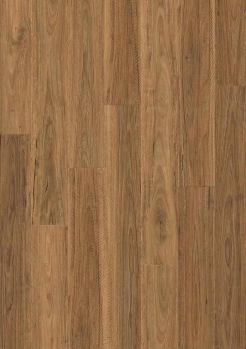 Laminat | Spotted Gum