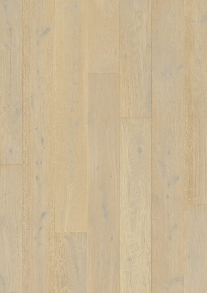 Parket | White daisy oak extra matt Parket | White daisy oak extra matt