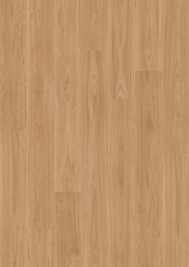 Laminat | Blackbutt Laminat | Blackbutt