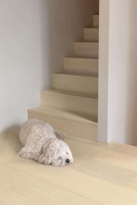 Parket | Snow white oak extra matt