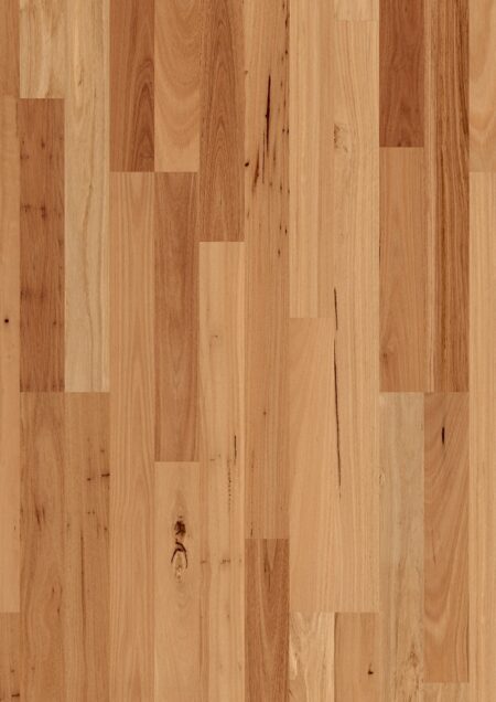 Parket | Blackbutt 2 strip high sheen
