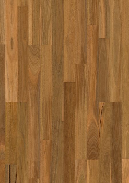 Parket | Spotted gum 2 strip high sheen