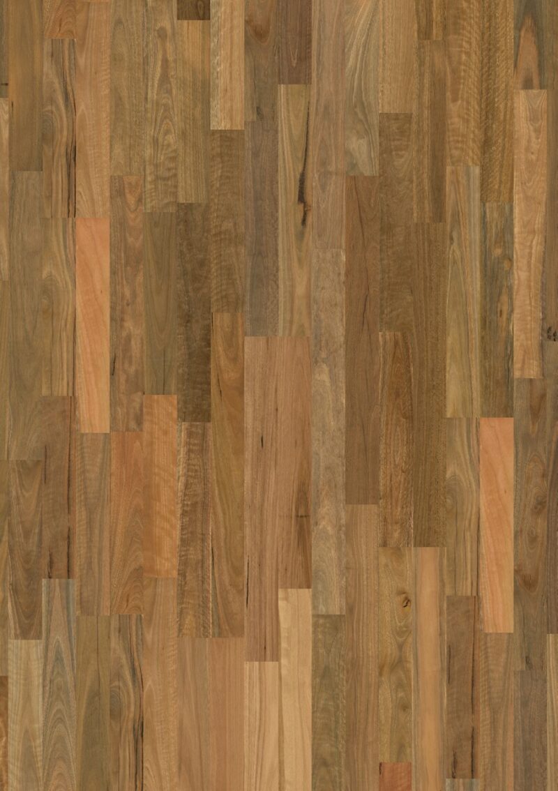 Parket | Brushed spotted gum 2 strip matt