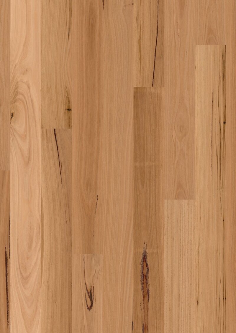 Parket | Blackbutt 1 strip high sheen