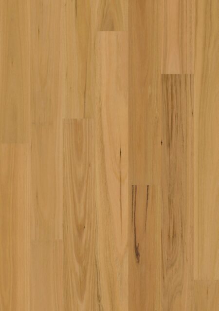 Parket | Brushed blackbutt 1 strip matt