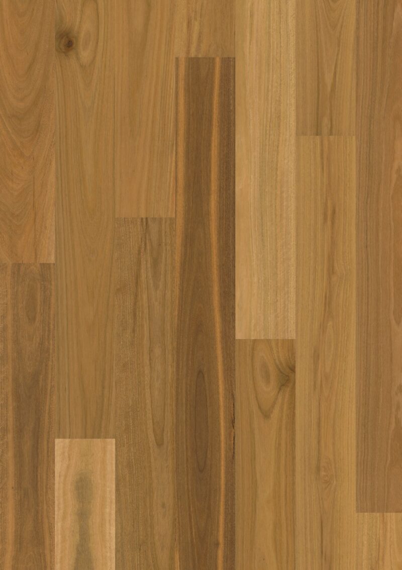 Parket | Brushed spotted gum 1 strip matt