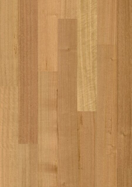Parket | Tasmanian oak 1 strip matt brushed