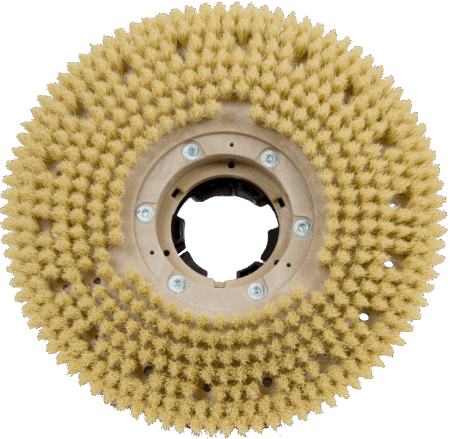 Tampico krtača Tampico krtača